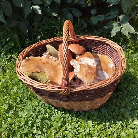 Agroturystyka Chata Za Wsia Uscie Gorlickie Dış mekan fotoğraf